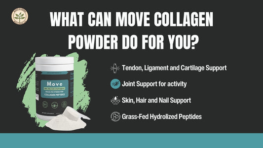What Can Collagen Powder Do for You? (Spoiler: A Lot)🐄