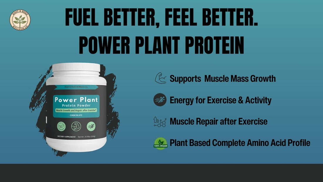 Power Plant Vegan Protein Powder for muscle building and muscle repair benefits blog by Root and Herb Wellness co.
