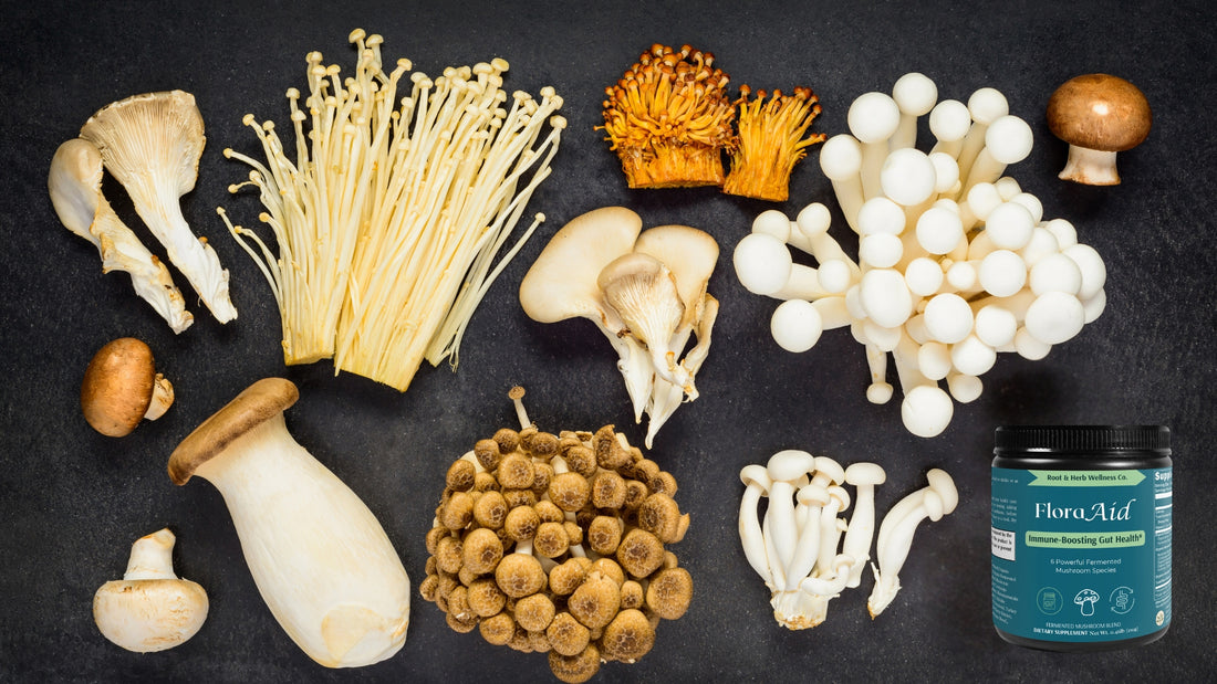 adapotgenic mushrooms for immunity health and floraaid supplement